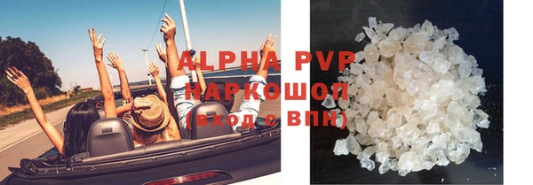 гидра Абаза