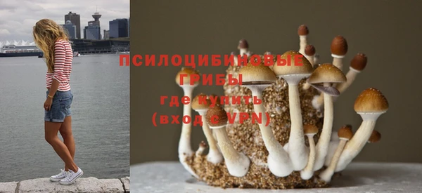 гидра Абаза