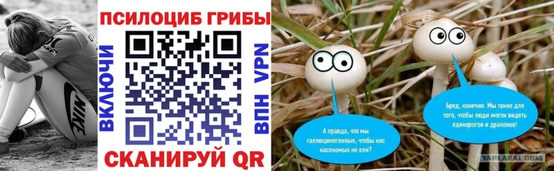 Галлюциногенные грибы прущие грибы  Трубчевск 